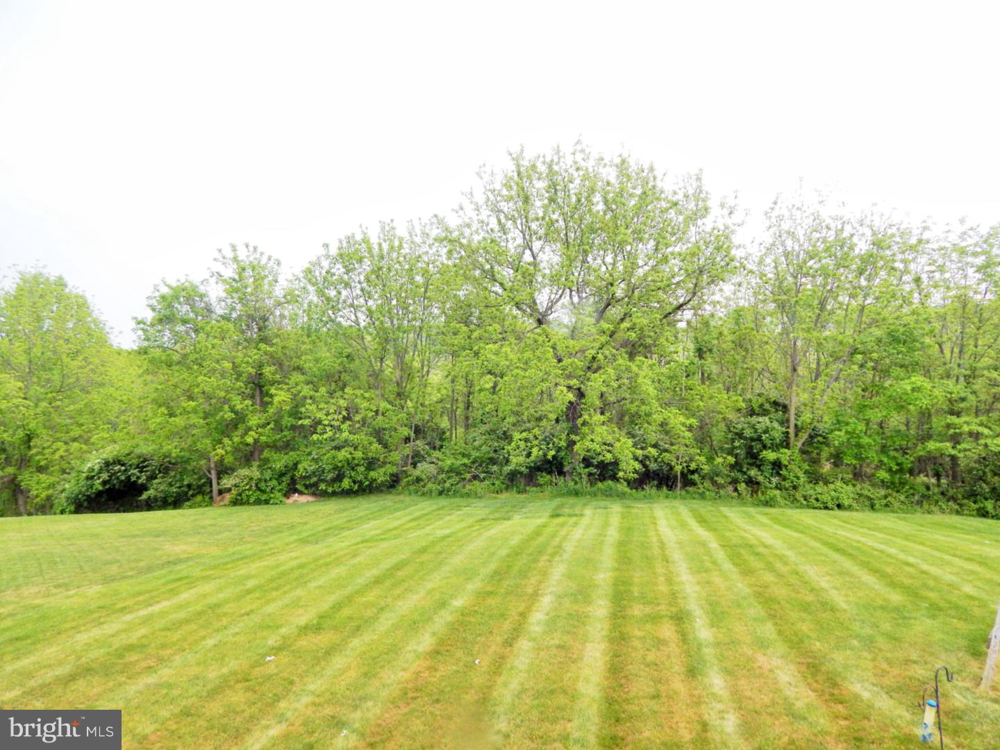 1521 High Country Road Downingtown, PA 19335 - Photo 24 of 25 View in Back