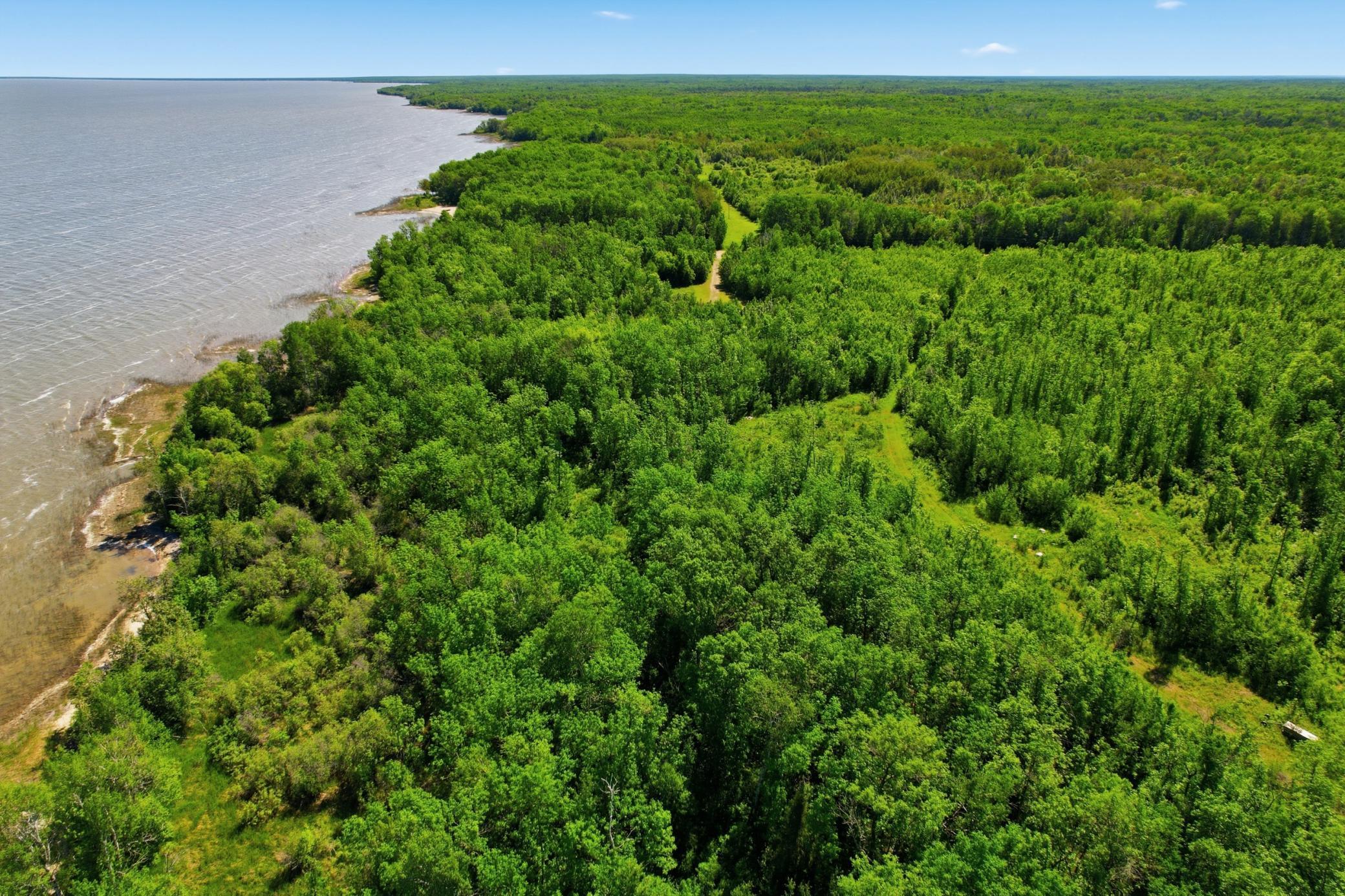 Tbd Sandberg Road Northeast Kelliher, MN 56650 - Photo 12 of 13