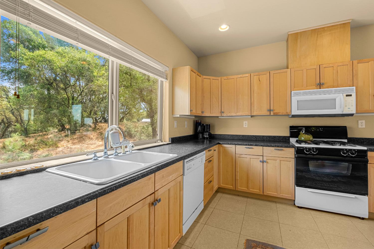 2211 Terrace View Court Cool, CA 95614 - Photo 78 of 99
