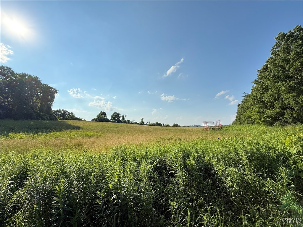 2359 Sands Road Camillus, NY 13031 - Photo 1 of 1 Gallery Image 1