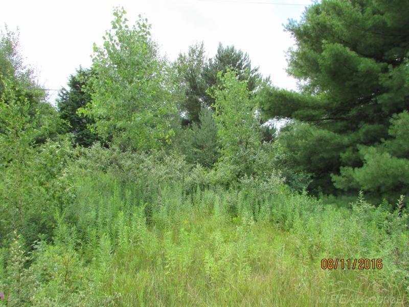 Tbd Harrington Road Lexington, MI 48450 - Photo 7 of 8