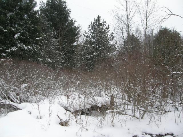 Holso Road Kaleva, MI 49645 - Photo 1 of 14 Primary Photo