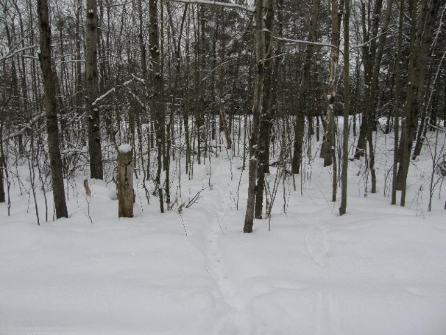 Holso Road Kaleva, MI 49645 - Photo 12 of 14 Additional Photo