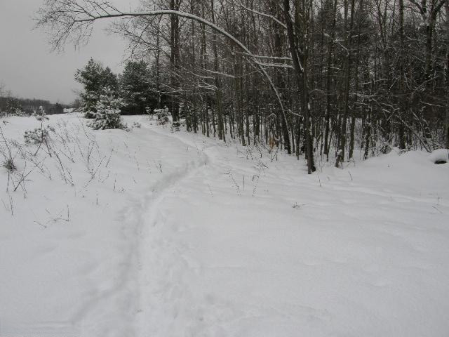 Holso Road Kaleva, MI 49645 - Photo 9 of 14 Additional Photo