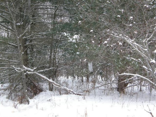 Holso Road Kaleva, MI 49645 - Photo 10 of 14 Additional Photo