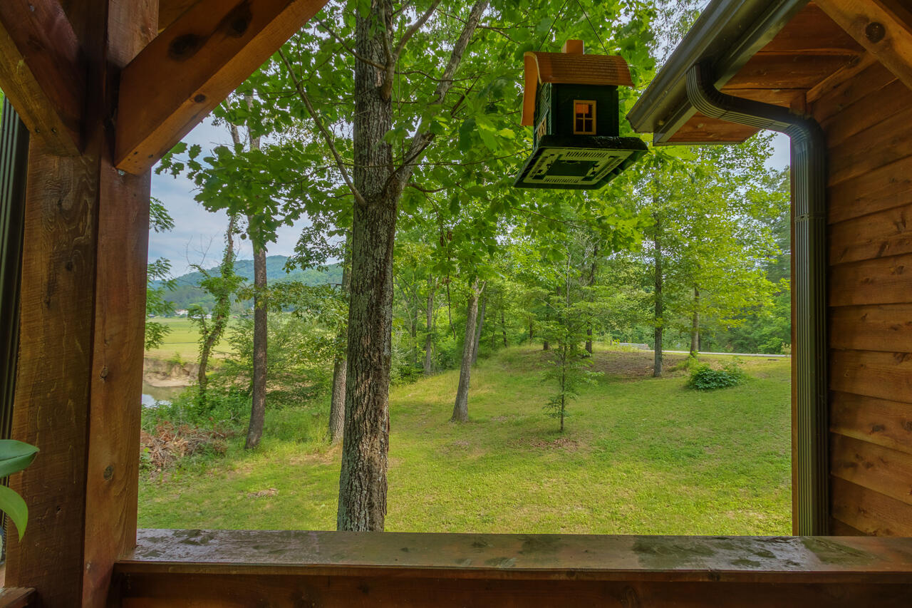 190 Sang Br Road Irvine, KY 40336 - Photo 95 of 99 105-190-Sang-Br-Irvine-KY-40336-SMALL