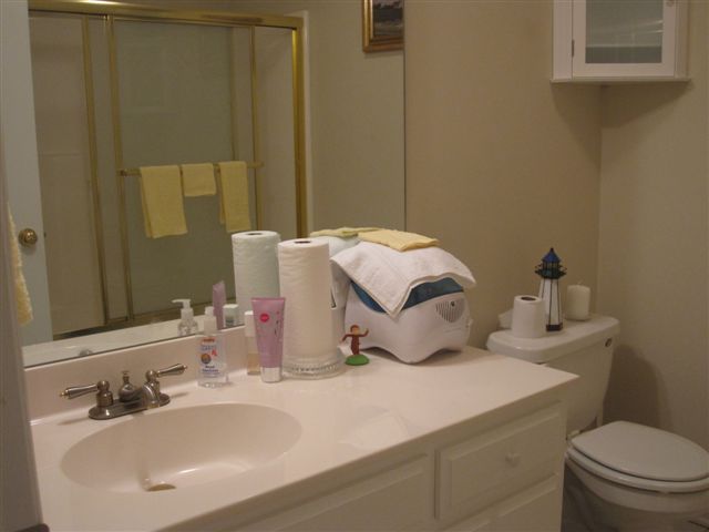 165 Bernard Road Rocky Mount, VA 24151 - Photo 19 of 36 Hall Bathroom