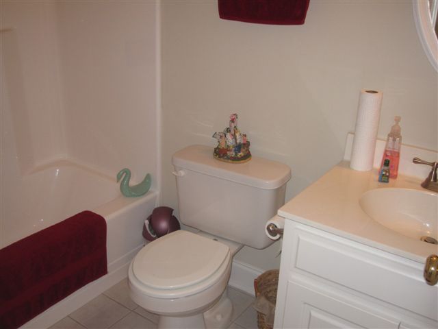 165 Bernard Road Rocky Mount, VA 24151 - Photo 24 of 36 Lower Level Full Bathroom