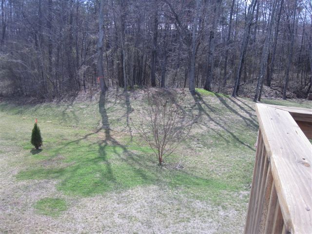 165 Bernard Road Rocky Mount, VA 24151 - Photo 34 of 36 Yard