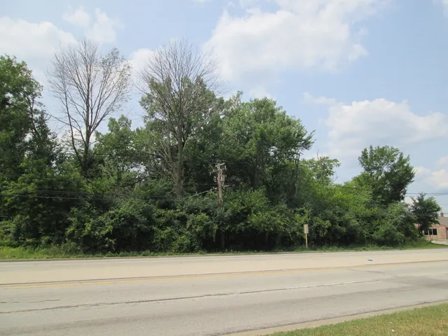 a view of a field with trees