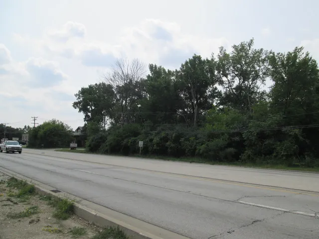 a view of a roadside with trees