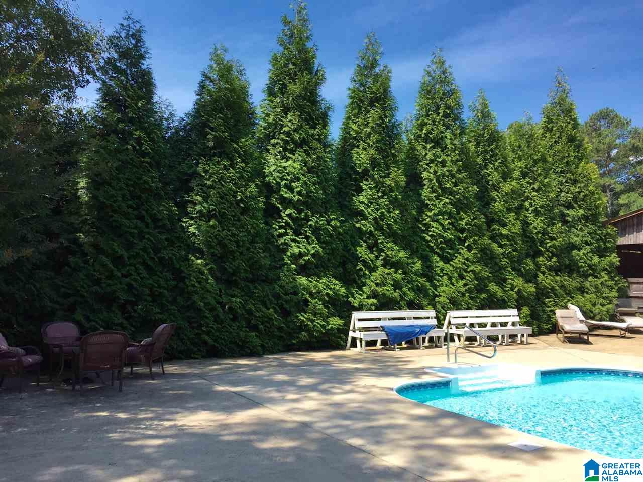 366 Parker Road Cropwell, AL 35054 - Photo 10 of 46