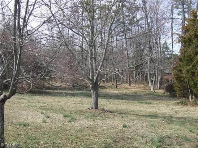 416 Dublin Road Asheboro, NC 27203 - Photo 14 of 14 Yard/Garden.