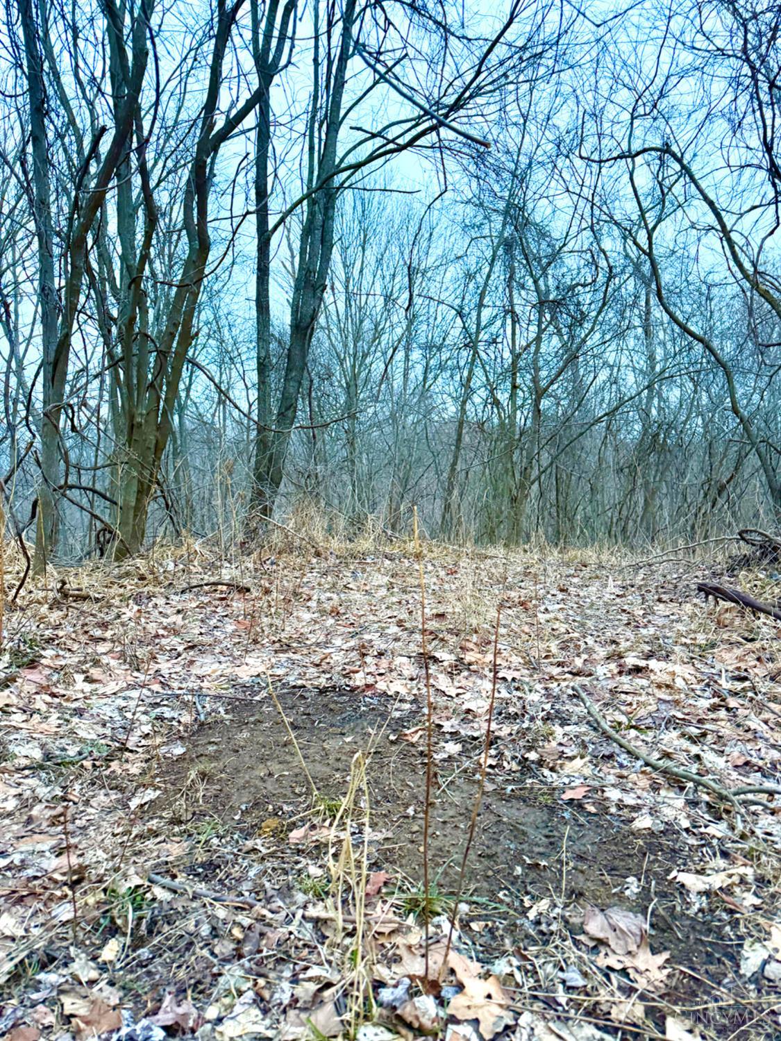 0 Straight Creek Road Waverly, OH 45690 - Photo 47 of 71