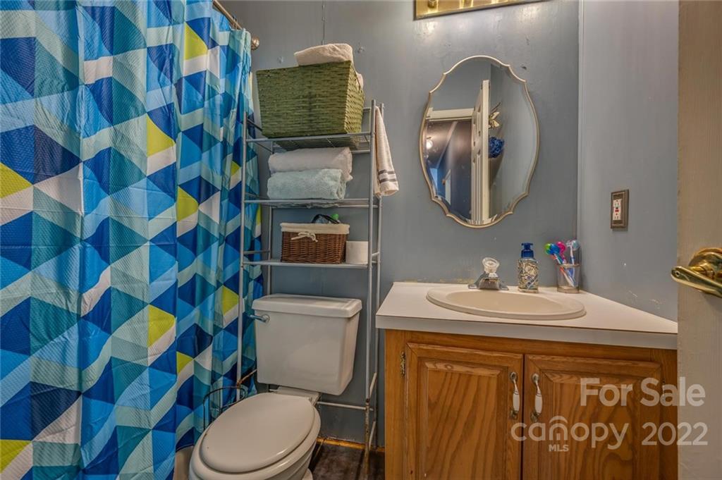 280 Highway 9 Mill Spring, NC 28756 - Photo 17 of 18 a bathroom with a sink a toilet and a mirror