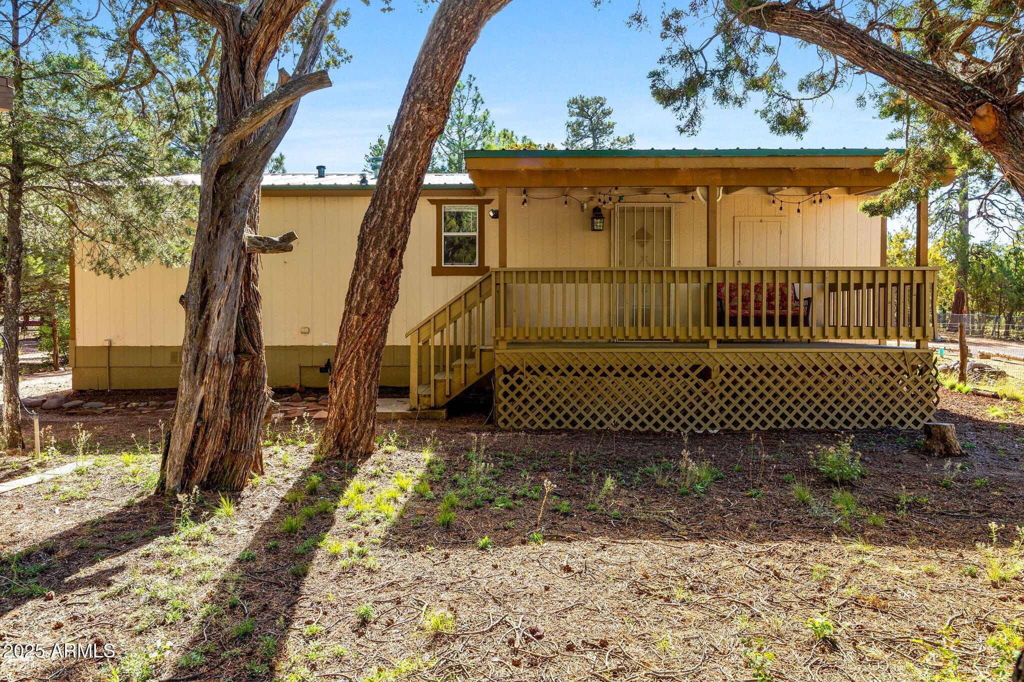 2064 Pinewood Drive Overgaard, AZ 85933 - Photo 27 of 33 a view of a yard with large trees and a small yard