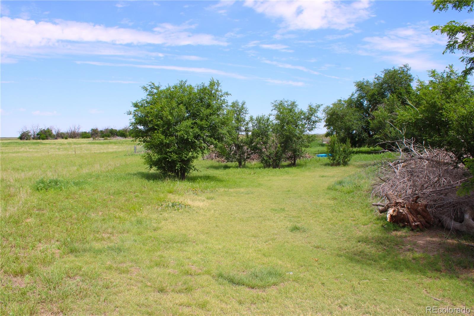 1901 County Road East Joes, CO 80822 - Photo 12 of 36