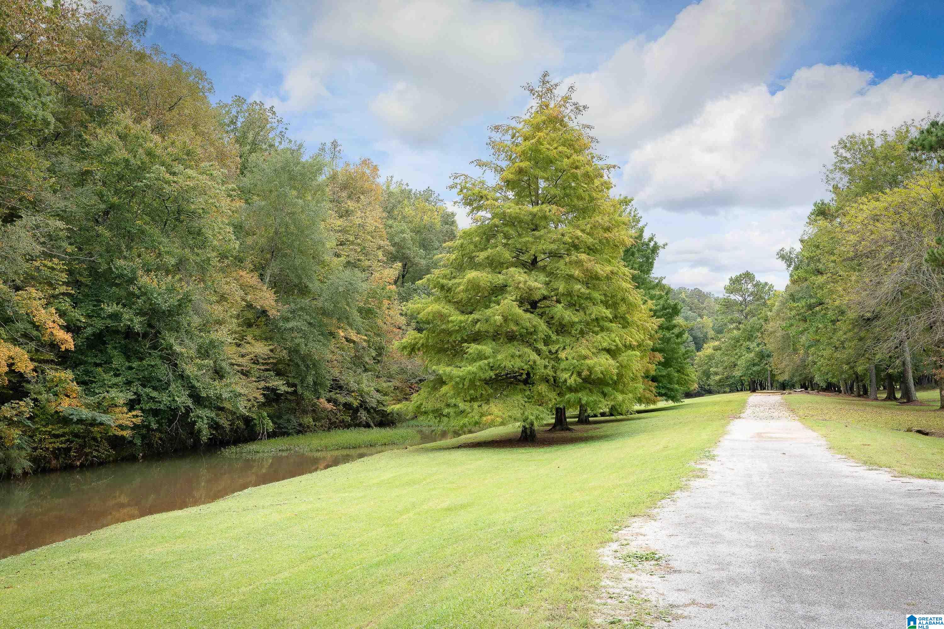 6459 Spring Street Trussville, AL 35173 - Photo 39 of 52