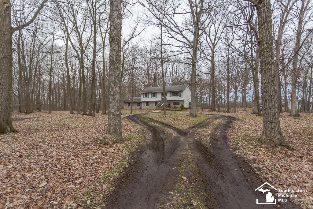 7130 Robinson Road Petersburg, MI 49270 - Photo 4 of 55
