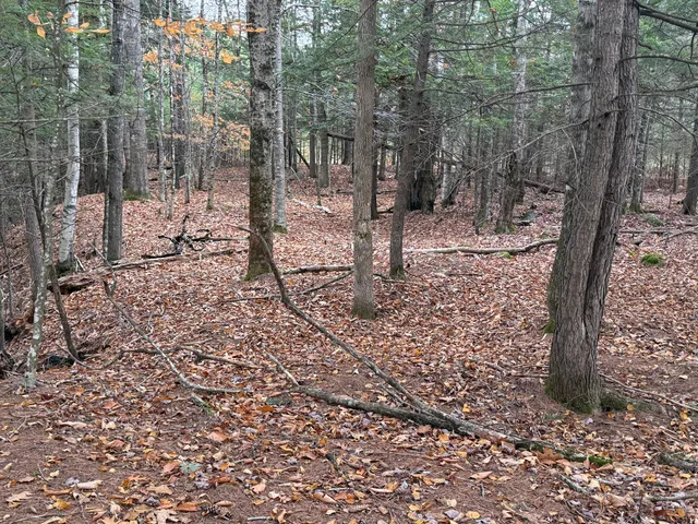 $115,000 | L50 Storer Hill Road, Carthage, ME 04224