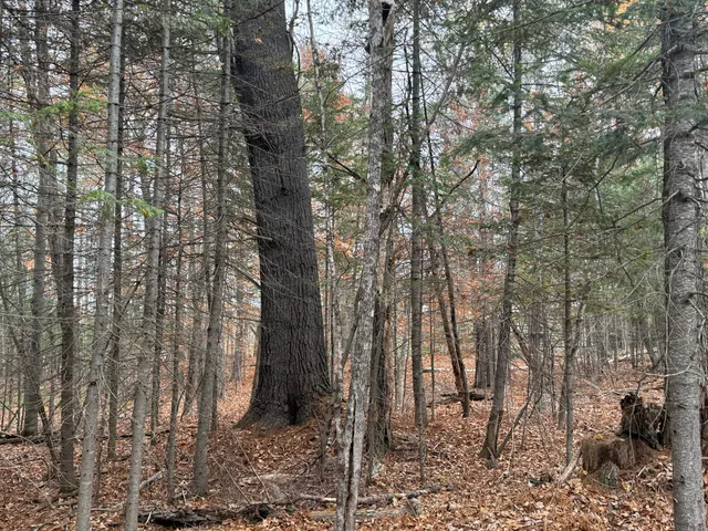 $115,000 | L50 Storer Hill Road, Carthage, ME 04224