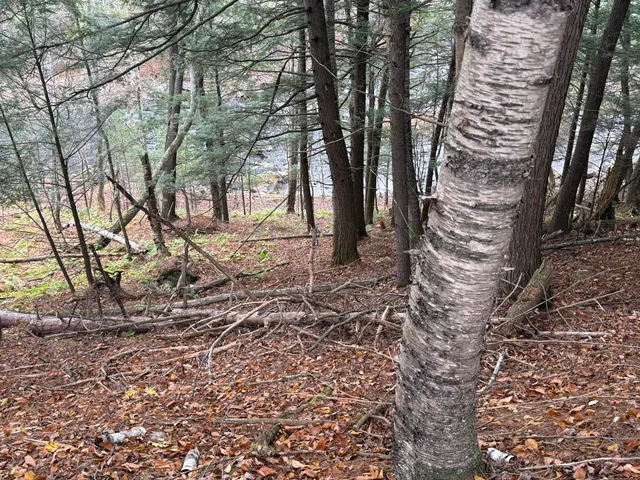 $115,000 | L50 Storer Hill Road, Carthage, ME 04224