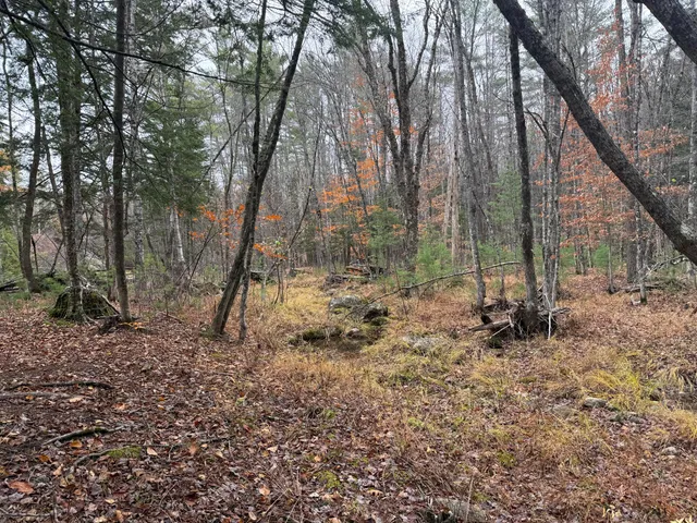 $115,000 | L50 Storer Hill Road, Carthage, ME 04224