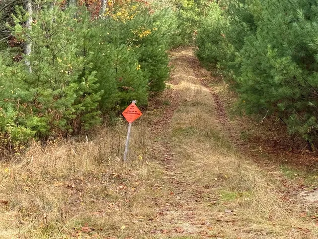 $115,000 | L50 Storer Hill Road, Carthage, ME 04224