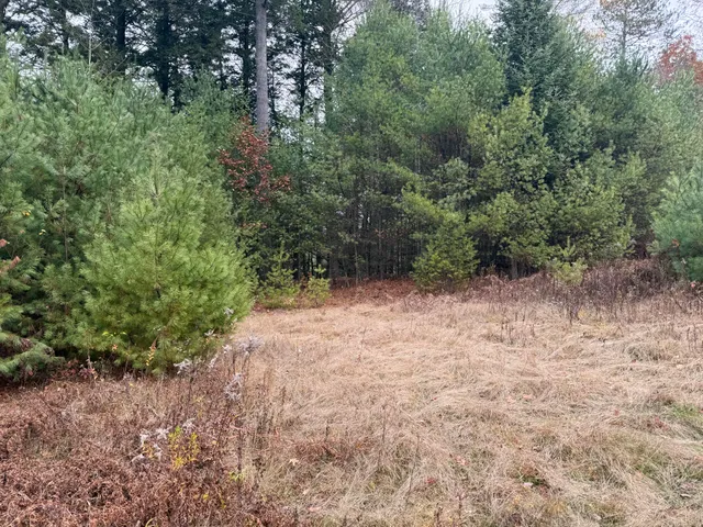 $115,000 | L50 Storer Hill Road, Carthage, ME 04224