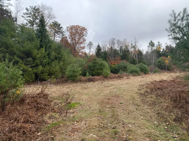 $115,000 | L50 Storer Hill Road, Carthage, ME 04224