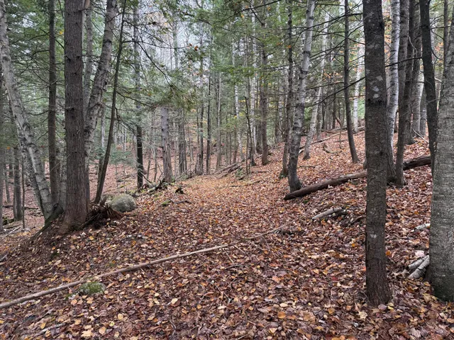 $115,000 | L50 Storer Hill Road, Carthage, ME 04224