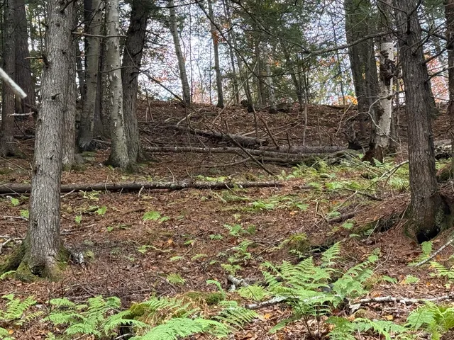 $115,000 | L50 Storer Hill Road, Carthage, ME 04224