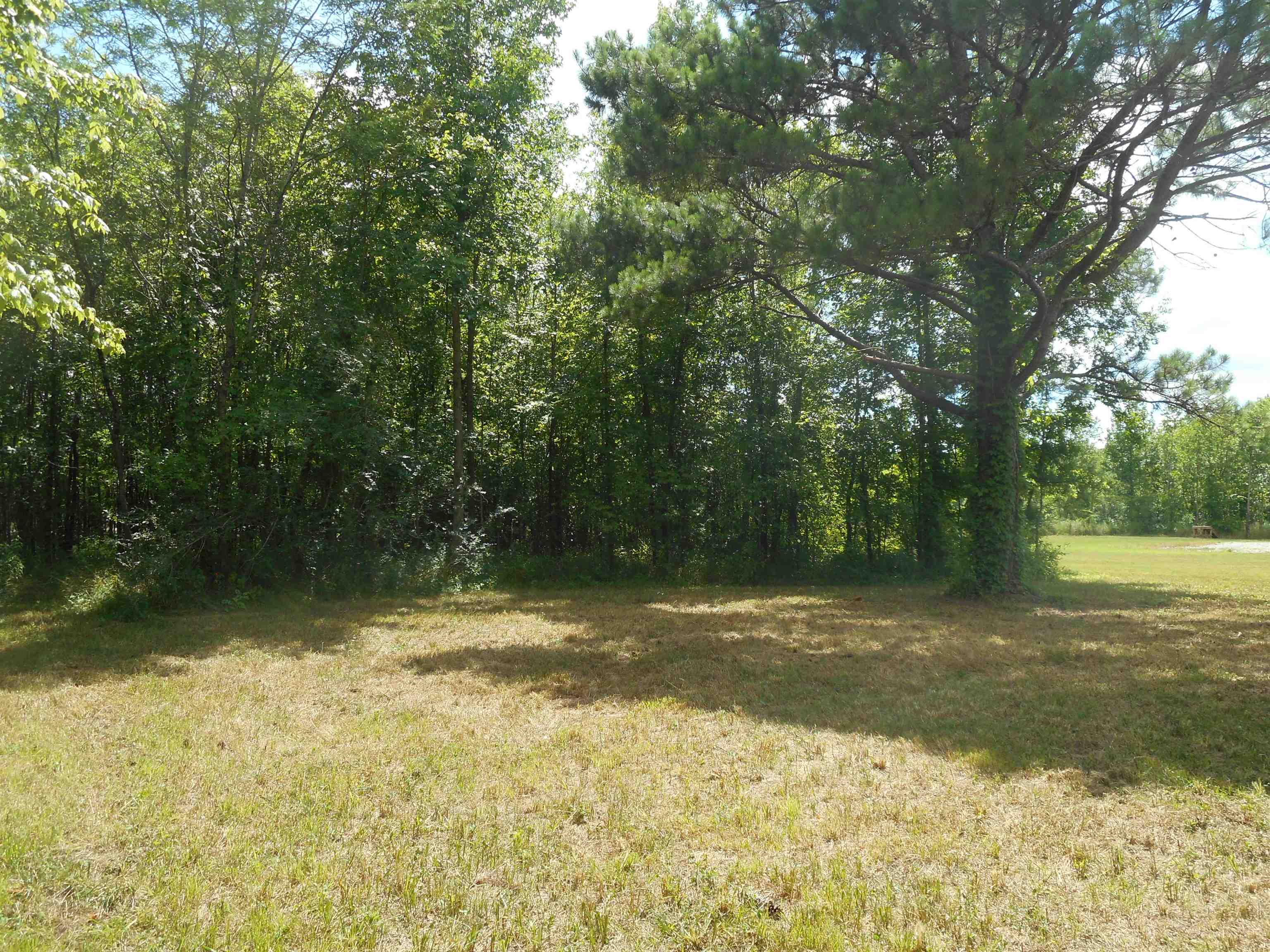 0 Bargeview Lane Adamsville, TN 38310 - Photo 3 of 15 Gallery Image 3