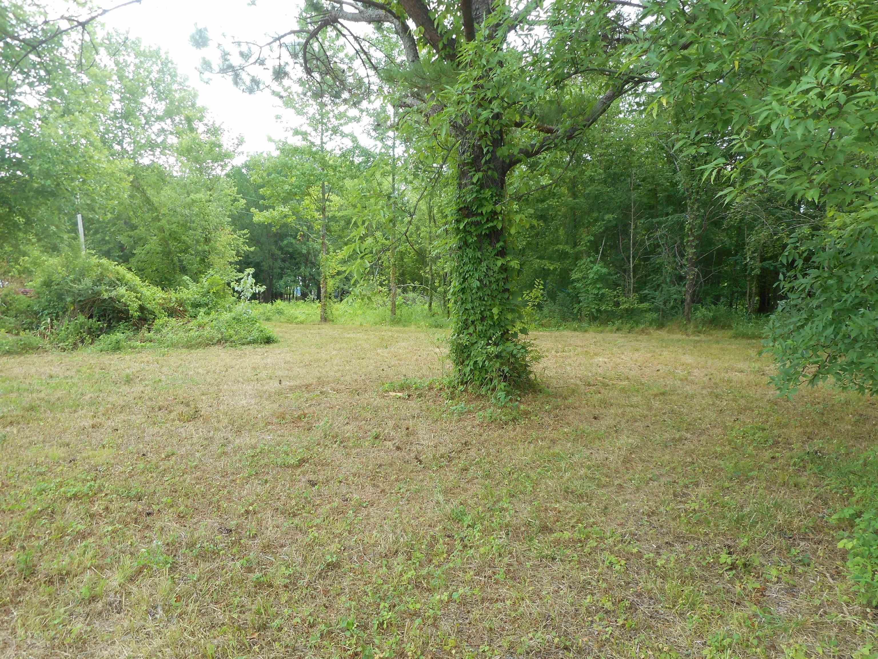 0 Bargeview Lane Adamsville, TN 38310 - Photo 7 of 15 Gallery Image 7
