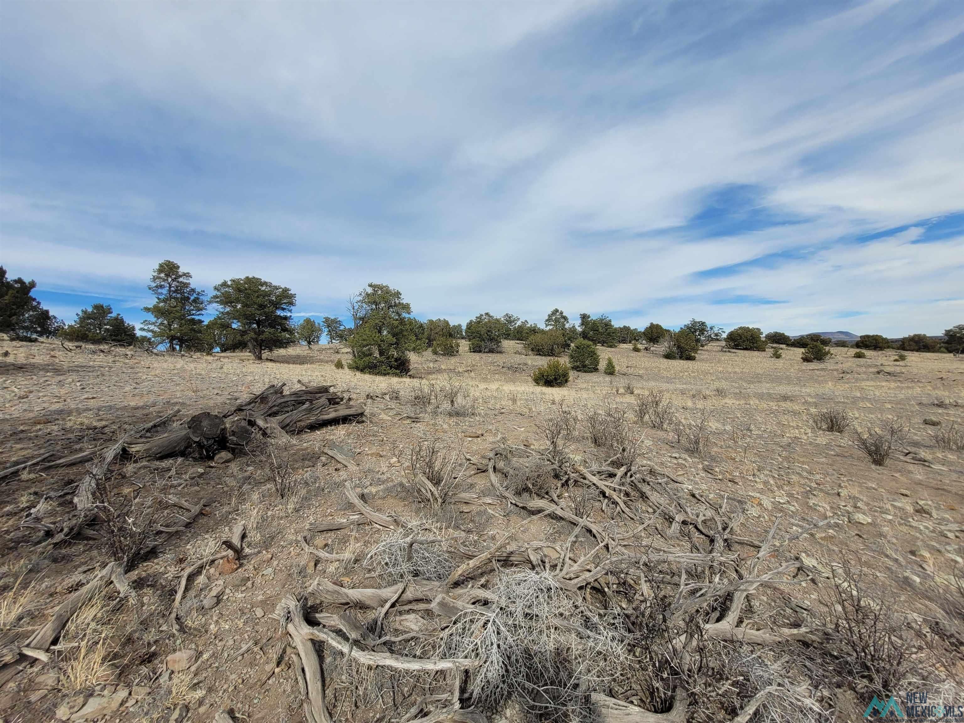47 Cougar Run Datil, NM 87821 - Photo 13 of 38 Gallery Image 13