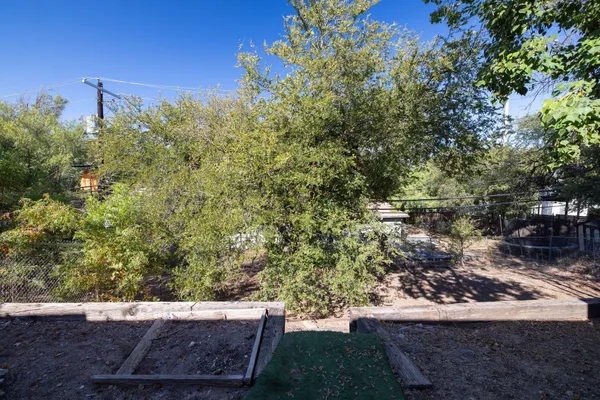 a view of a yard with an tree
