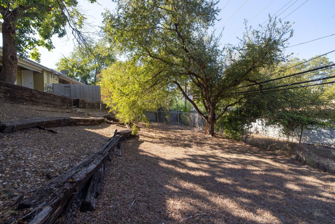 2326 Hartford Road Austin, TX 78703 - Photo 28 of 28 a view of a yard with plants and trees