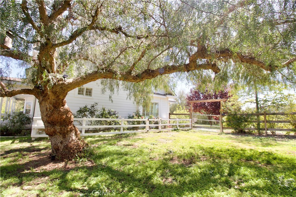 35159 El Dorado Road Lake Elsinore, CA 92530 - Photo 46 of 72 a backyard of a building with trees and retail shops