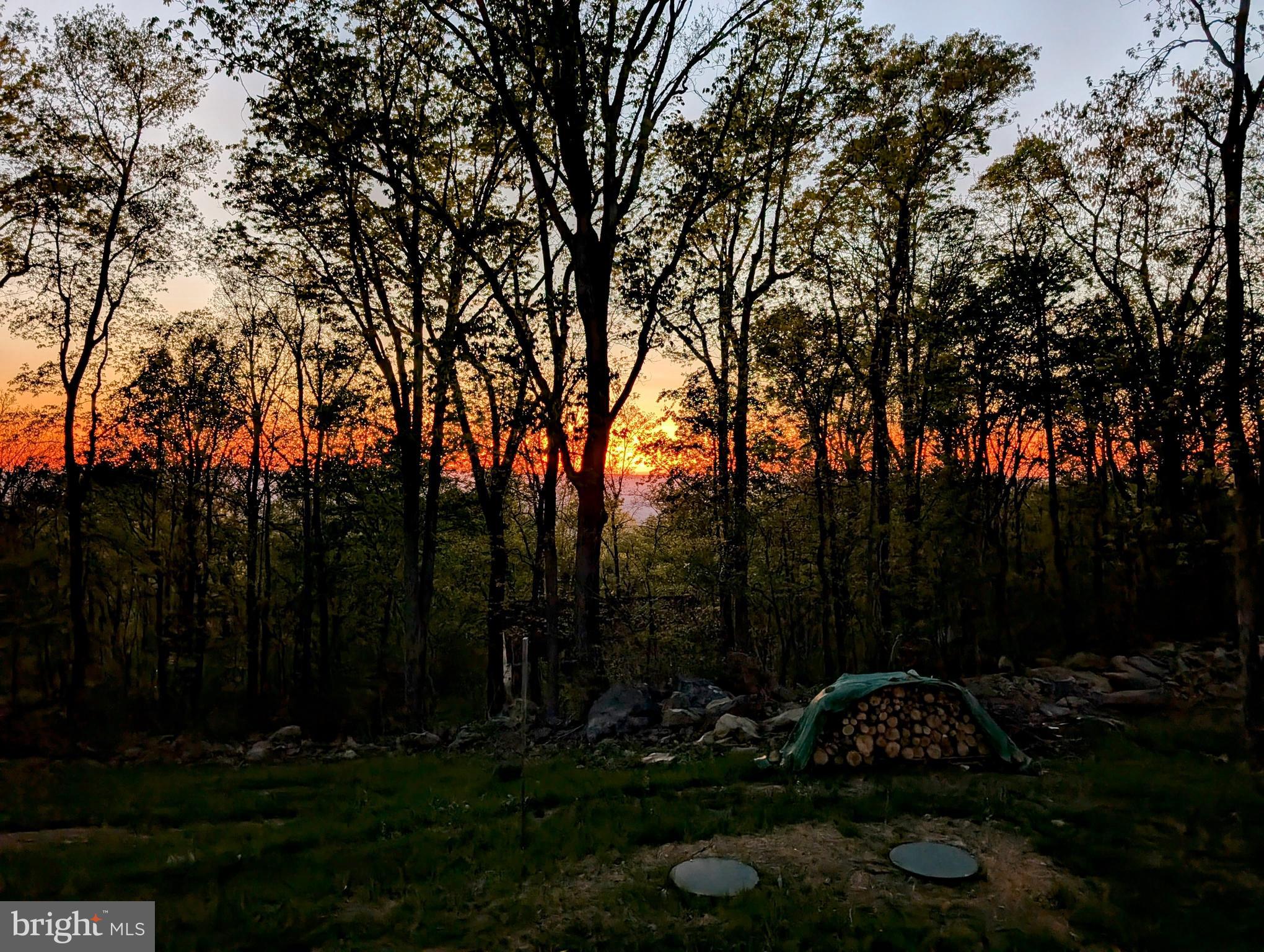 1099 High Top Road Linden, VA 22642 - Photo 46 of 83 This is a dream lot!