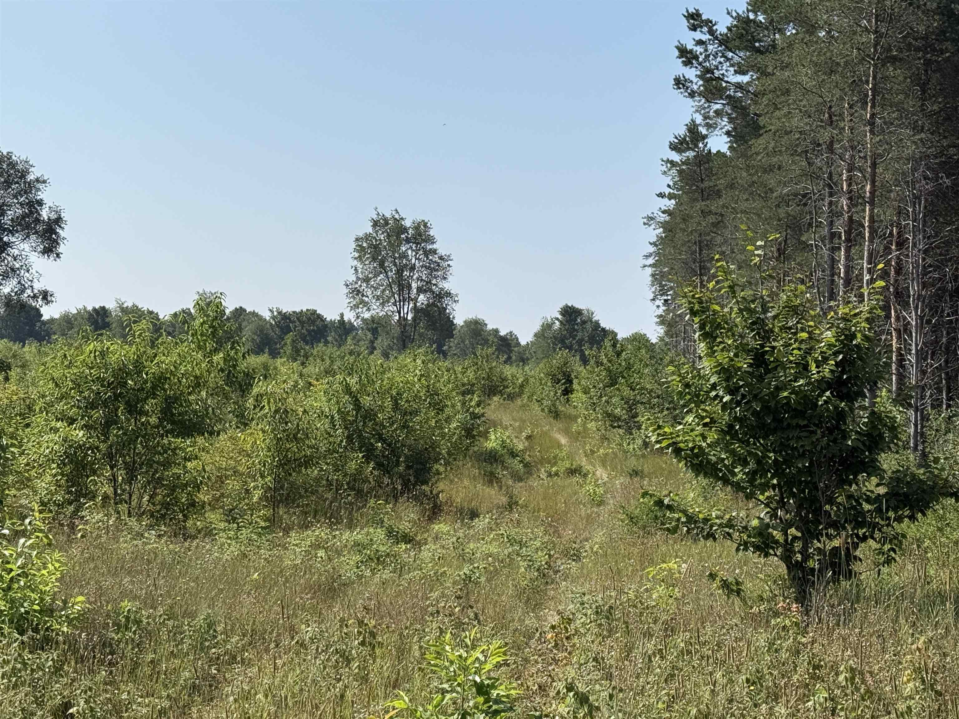 1 East Kasson Road, Unit LOT: A1 Maple City, MI 49664 - Photo 8 of 10