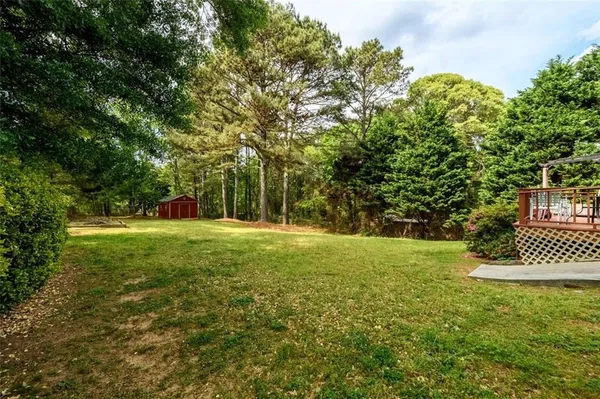 a view of a field with a tree