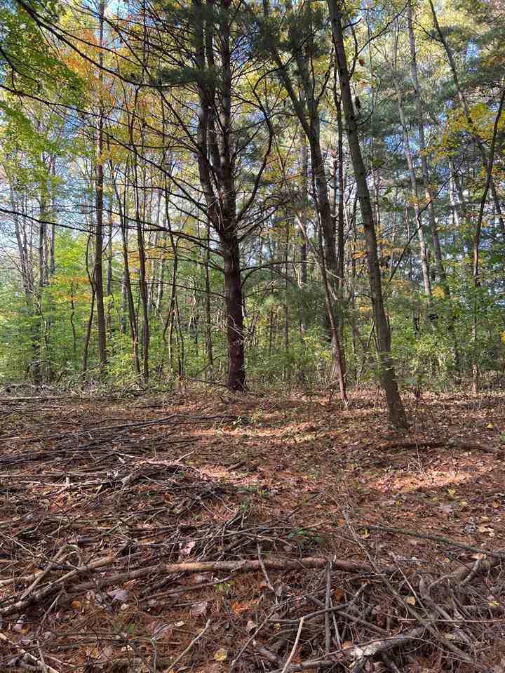 14-25 East # 26 E Stolberg Road Branch, MI 49402 - Photo 7 of 10
