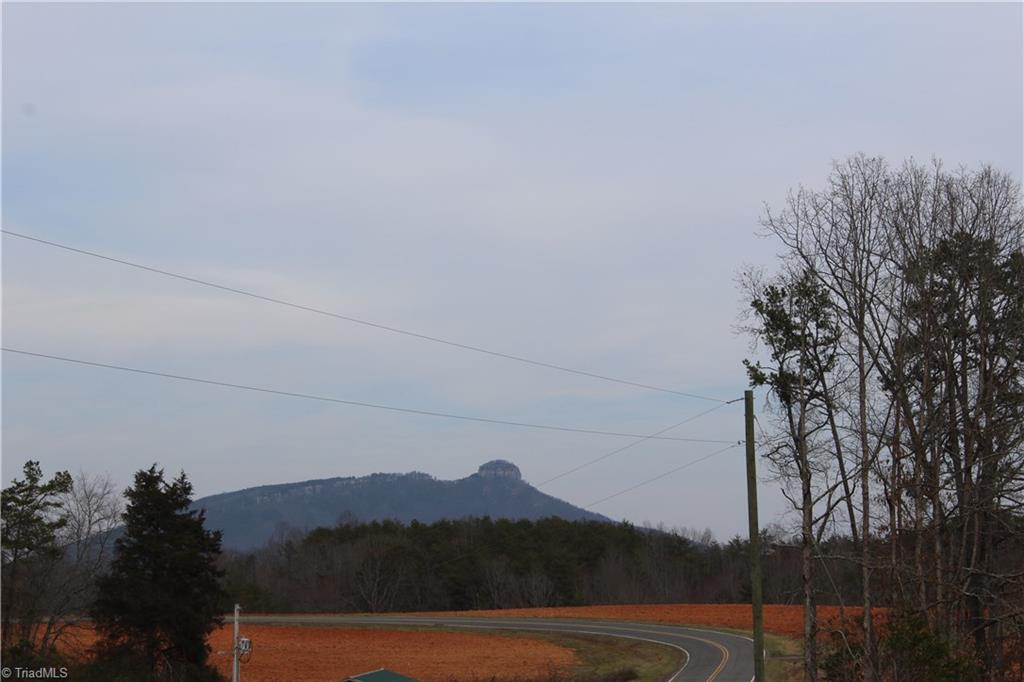 0 Nunn Road Pinnacle, NC 27043 - Photo 1 of 10