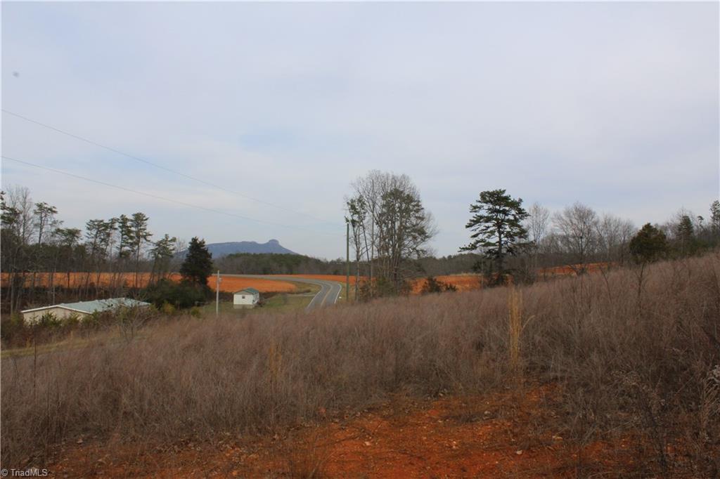 0 Nunn Road Pinnacle, NC 27043 - Photo 2 of 10