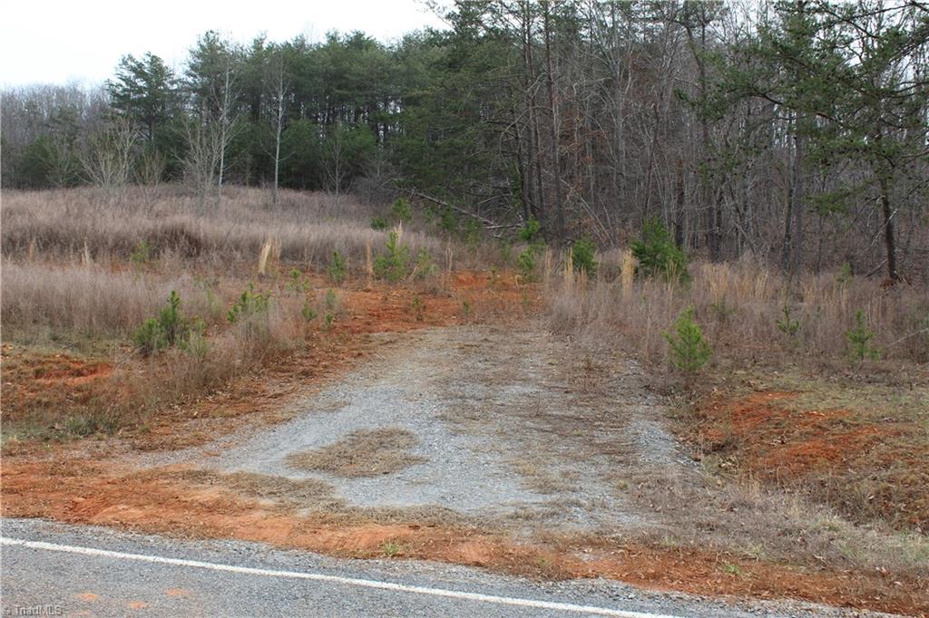 0 Nunn Road Pinnacle, NC 27043 - Photo 3 of 10