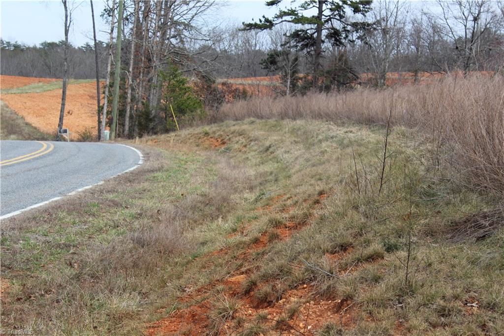 0 Nunn Road Pinnacle, NC 27043 - Photo 5 of 10