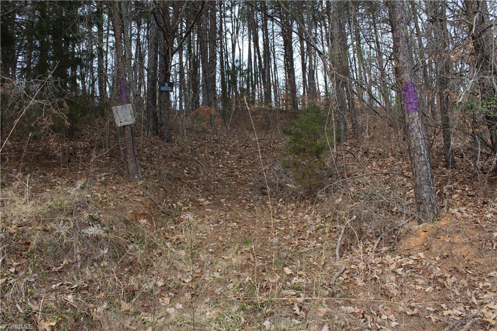 0 Nunn Road Pinnacle, NC 27043 - Photo 6 of 10