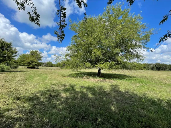 a view of yard with green space