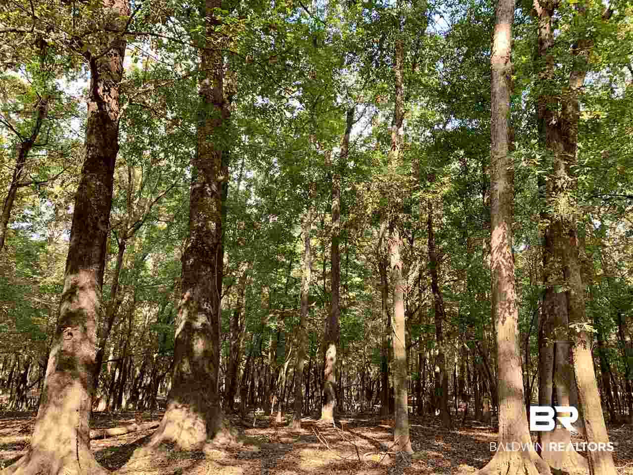 0 Holly Creek Road Stockton, AL 36579 - Photo 23 of 50