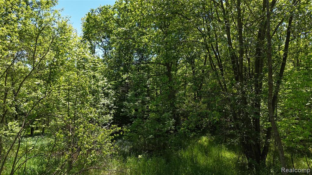 0 Williams Road Gaines, MI 48436 - Photo 24 of 28
